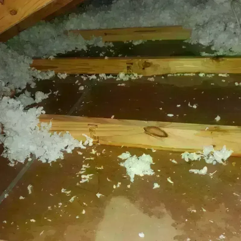 Attic Water Damage in Fairview, NC