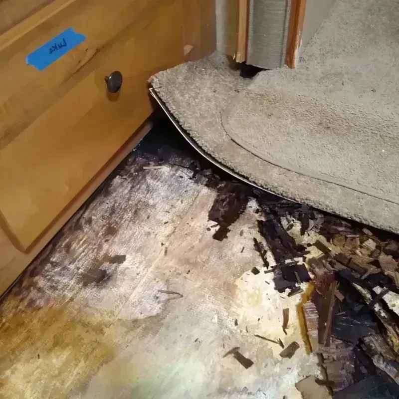 Wood Floor Water Damage in Fairview, NC